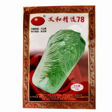 义和精选78杂交种子叠抱80天抗病夏季早熟高产叠抱头