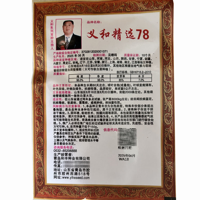 义和精选78杂交种子叠抱80天抗病夏季早熟高产叠抱头