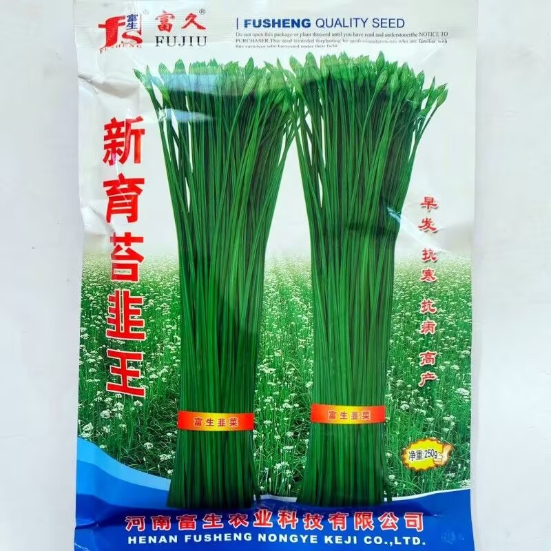 富生新育苔韭王种子韭苔种籽早发耐寒抗病高产叶苔兼用型苔韭