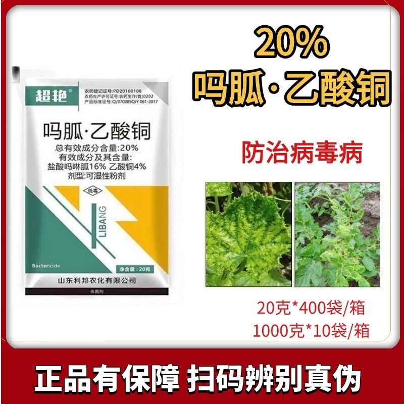 20%吗呱乙酸铜番茄病毒病小叶病花叶病皱叶病