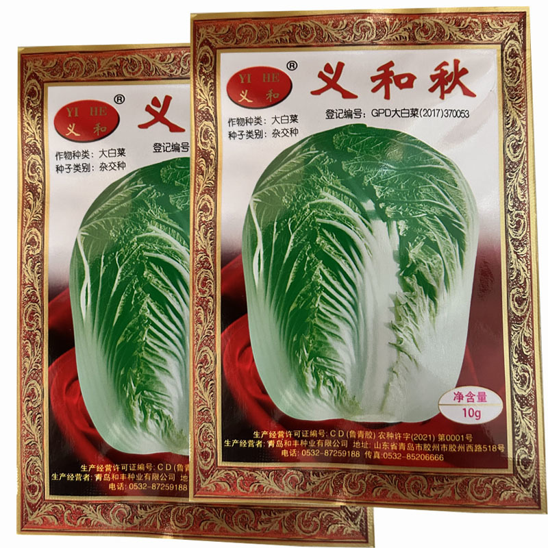 义和秋白菜种子10g秋季冬储白菜种籽高产抗病口感好耐寒蔬