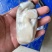 广东湛江优选大生蚝基地直供质量保证货源充足全国发货