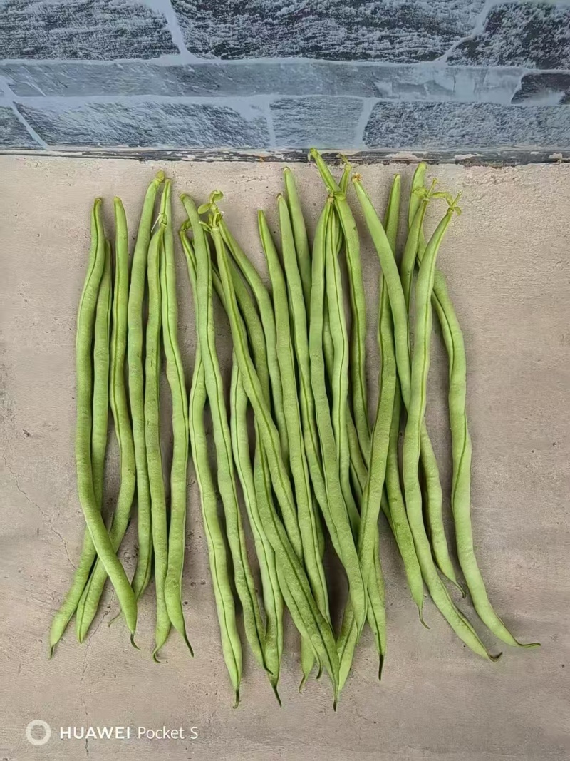【四季豆】架豆王豆角基地直发供应全国市场电商商超