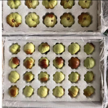 精品蟠枣对接电商市场商超全国发货可视频看货