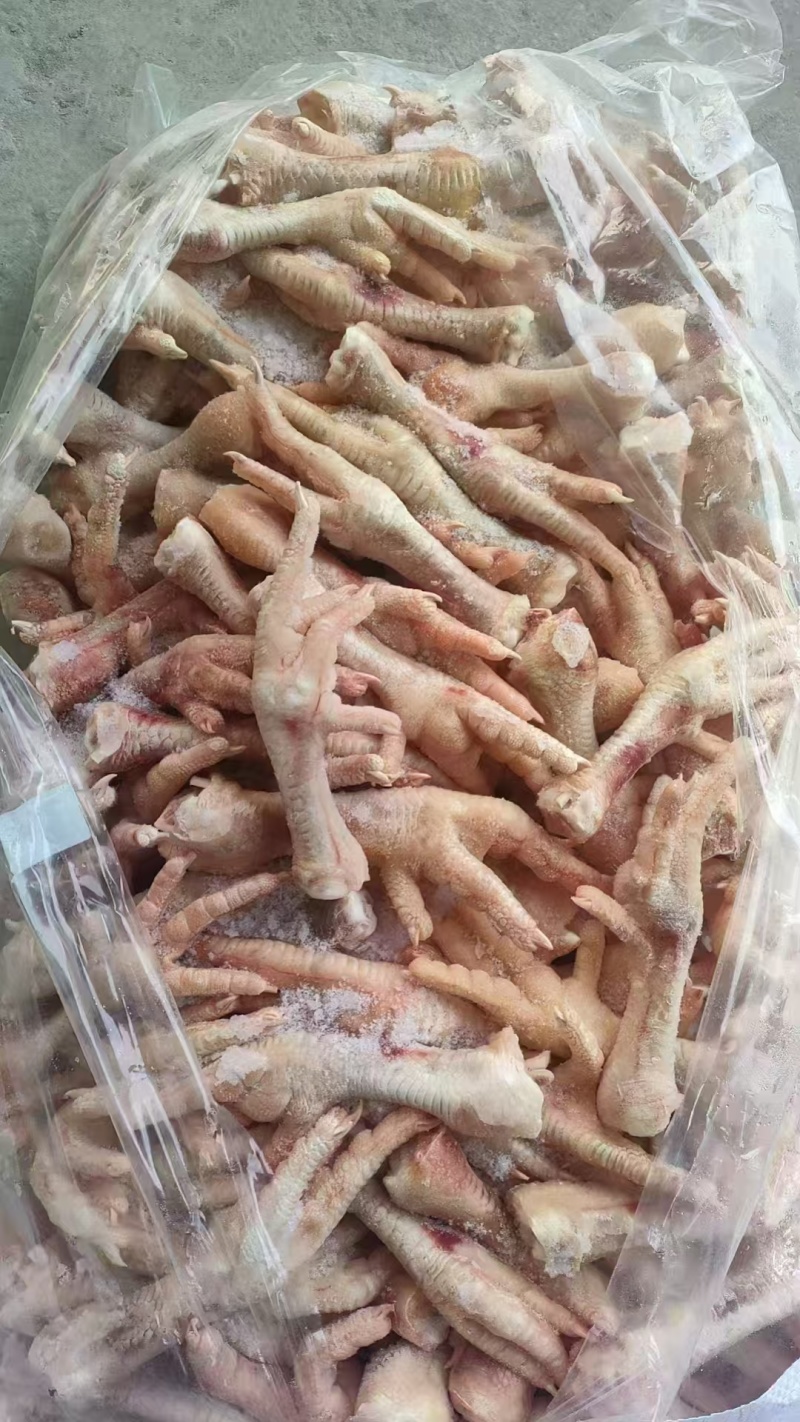 精品鸡爪货源充足量大从优诚信经营致电联系全国发货