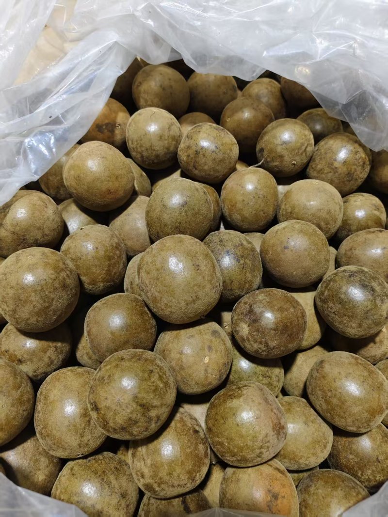 【精品推荐】广西罗汉果产地直销工厂直发可线上下单