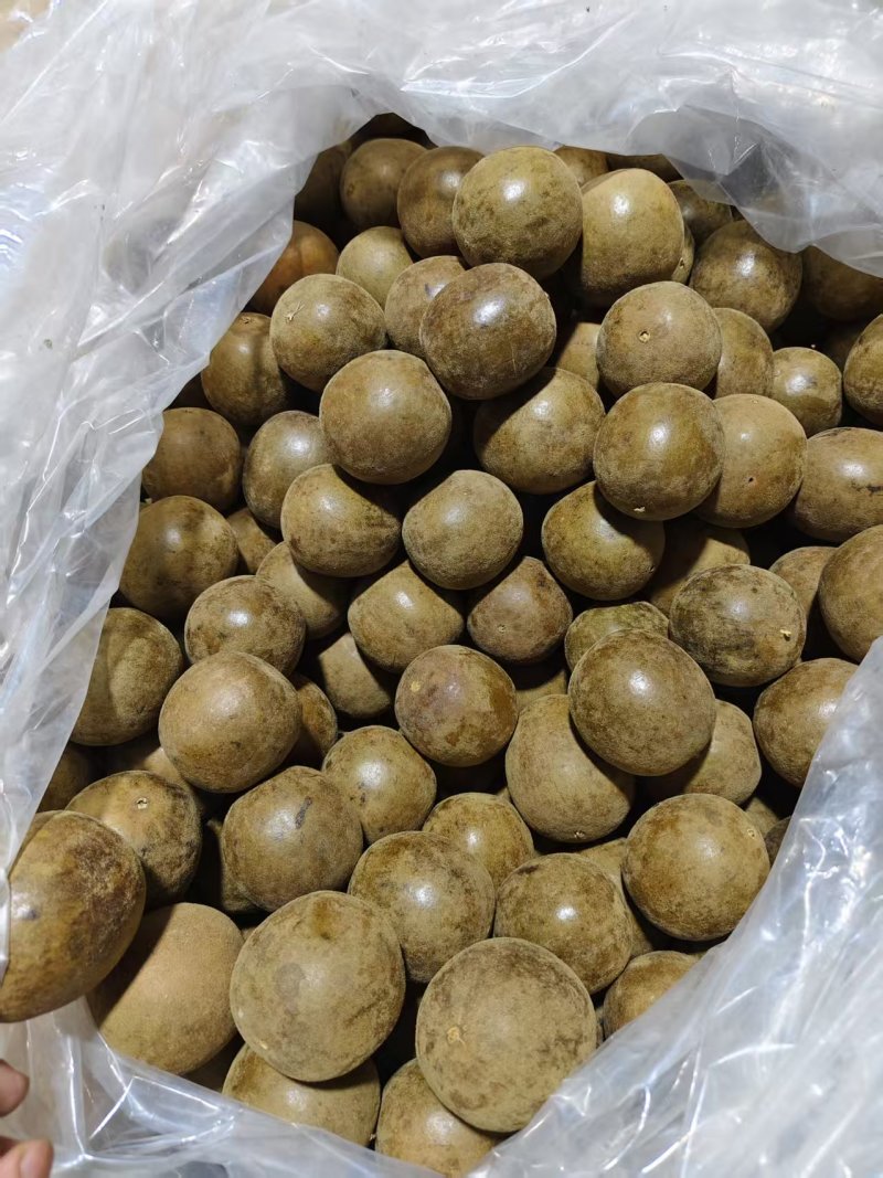 【精品推荐】广西罗汉果产地直销工厂直发可线上下单
