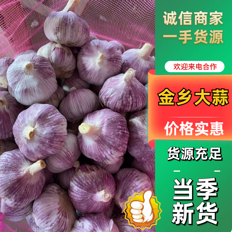 金乡大蒜紫皮大蒜一手货源，常年代收代存，按需包装