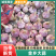 【牛商推荐】山东优质大蒜全国各发货金乡大蒜山东大蒜