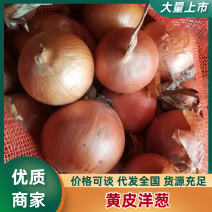 大量供应金乡红皮洋葱黄皮洋葱基地发货实力代办