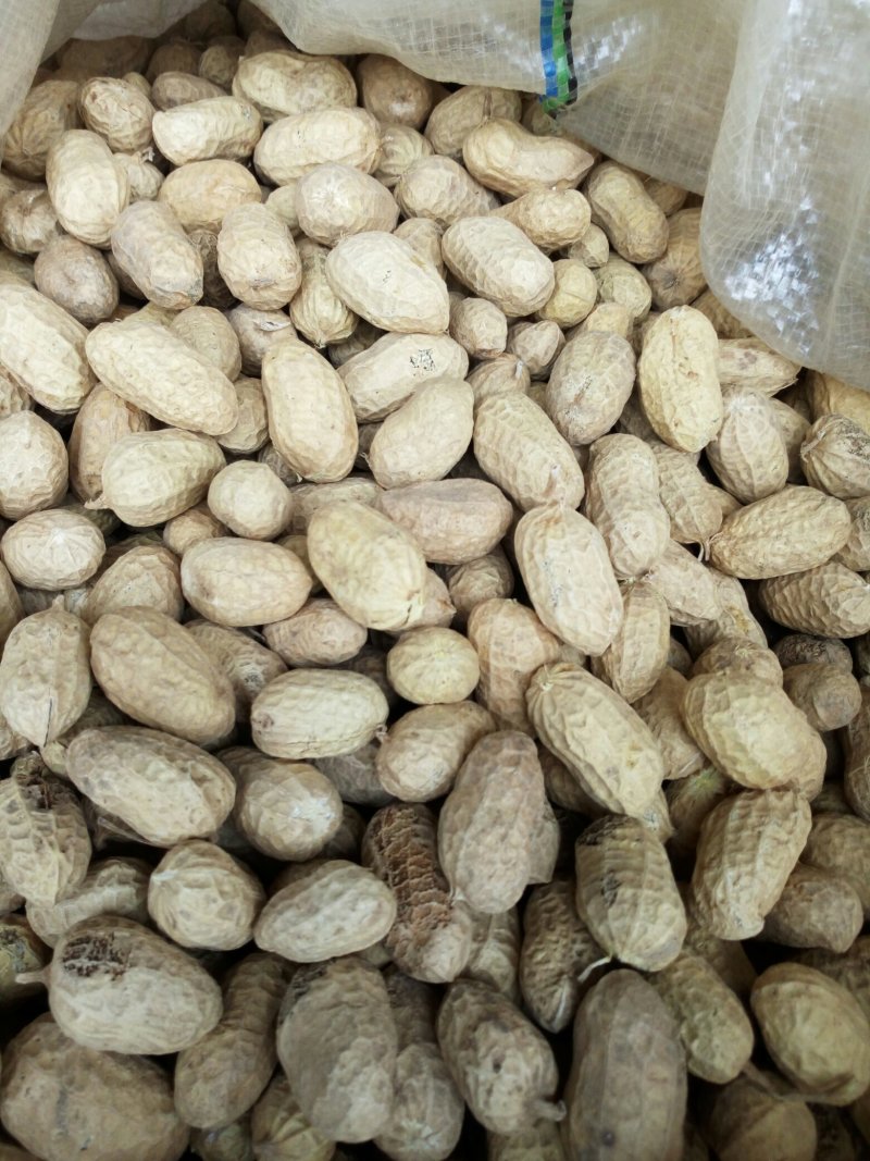 河南罗汉果花生产地直发货源充足新鲜发货对接批发市场