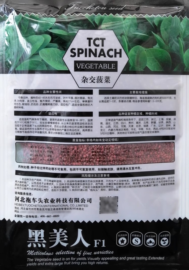 夏季黑美人菠菜种子墨绿色大圆叶菠菜籽耐热性好直立抗病