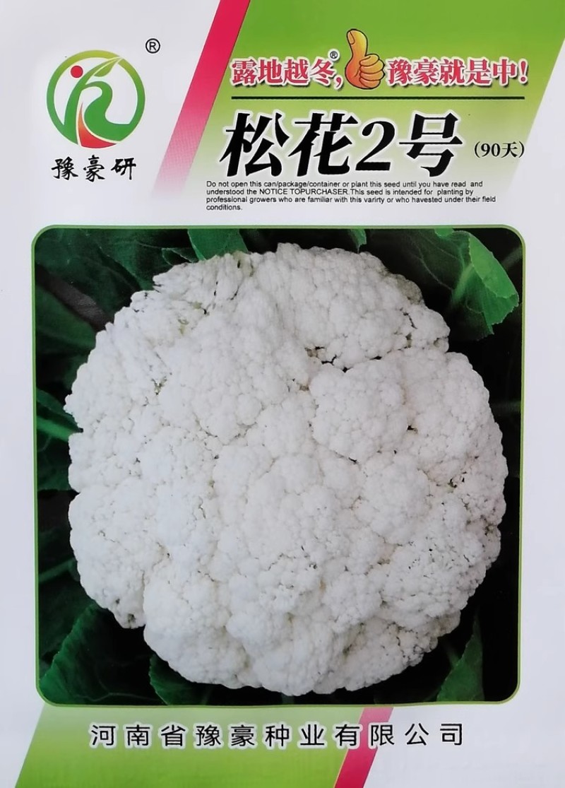 松花2号松花3号花椰菜种子花菜种子春秋越冬露地青梗