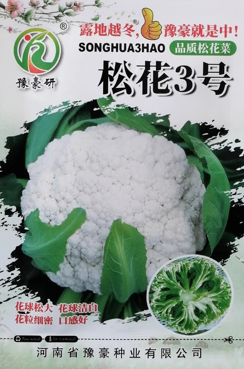 松花2号松花3号花椰菜种子花菜种子春秋越冬露地青梗