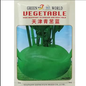 天津青丕兰种子球茎扁圆外皮青绿色青丕蓝蔬菜种籽肉质细嫩