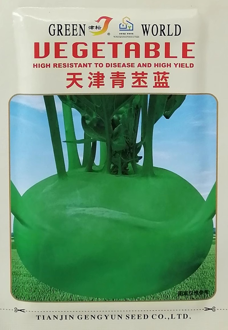 天津青丕兰种子球茎扁圆外皮青绿色青丕蓝蔬菜种籽肉质细嫩