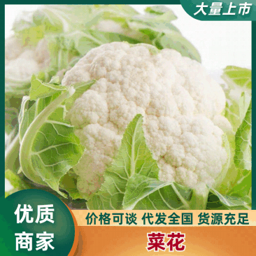 甘肃精品菜花规格齐全菜花散花大量供应产地直发价格实惠