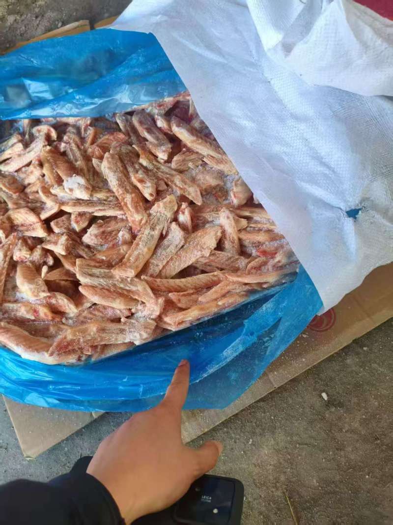 精品鸭翅尖货源充足量大从优诚信经营致电联系全国发货