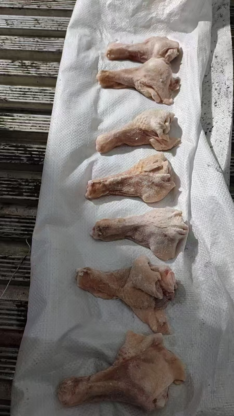 精品鸭翅根货源充足量大从优诚信经营致电联系全国发货