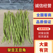 架豆王豆角甘肃四季豆基地直发货源充足商超品质