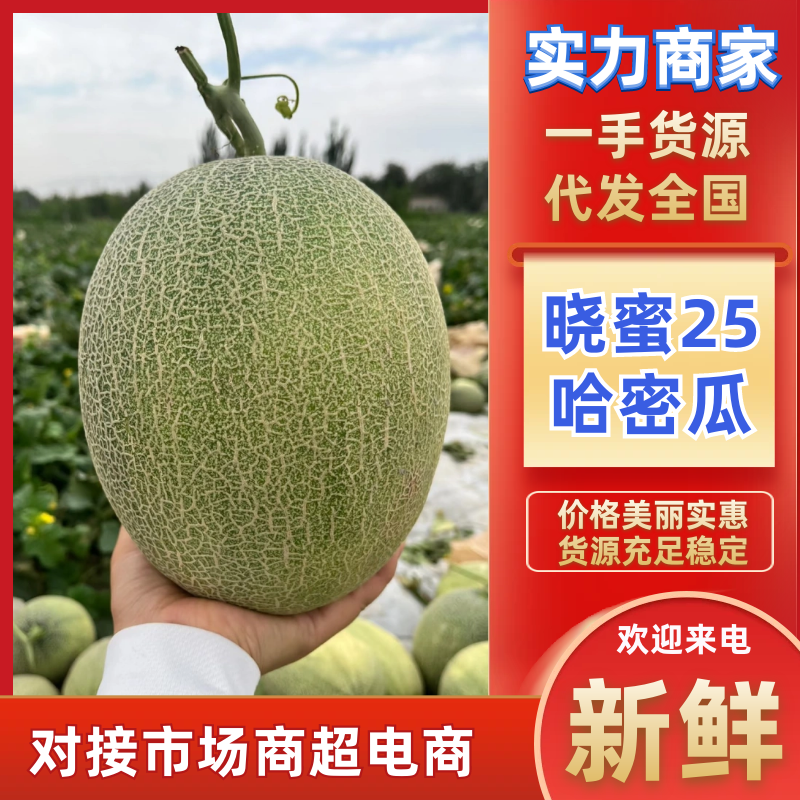 海南晓蜜25哈密瓜包熟包甜大量供应支持视频实地看货