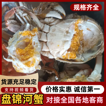 盘锦河蟹产地直发货，精品肥蟹，电商，团购酒店自助欢迎采购