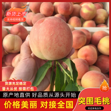 突围毛桃，口感甜脆，颜色鲜艳，一手货源，保证质量。