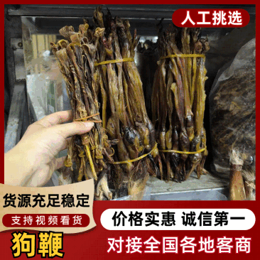 狗鞭鞭中药材狗鞭泡酒优质干净优质狗鞭现货