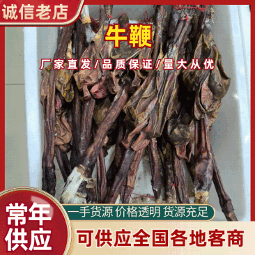 牛鞭鞭中药材牛鞭泡酒优质牛鞭干净现货