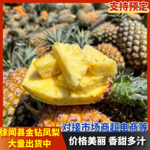 徐闻县金钻凤梨货源充足，量大从优，香甜可口多汁，欢迎咨询