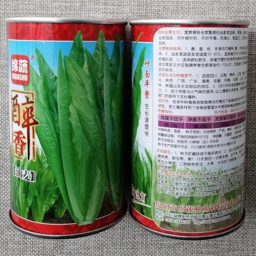 绵蔬醉香油麦菜种子叶片平整长势快早熟耐热香脆嫩四季油麦菜