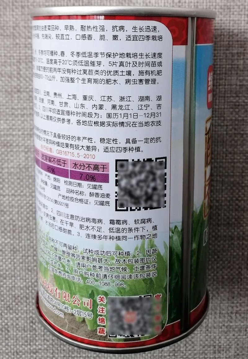 绵蔬醉香油麦菜种子叶片平整长势快早熟耐热香脆嫩四季油麦菜