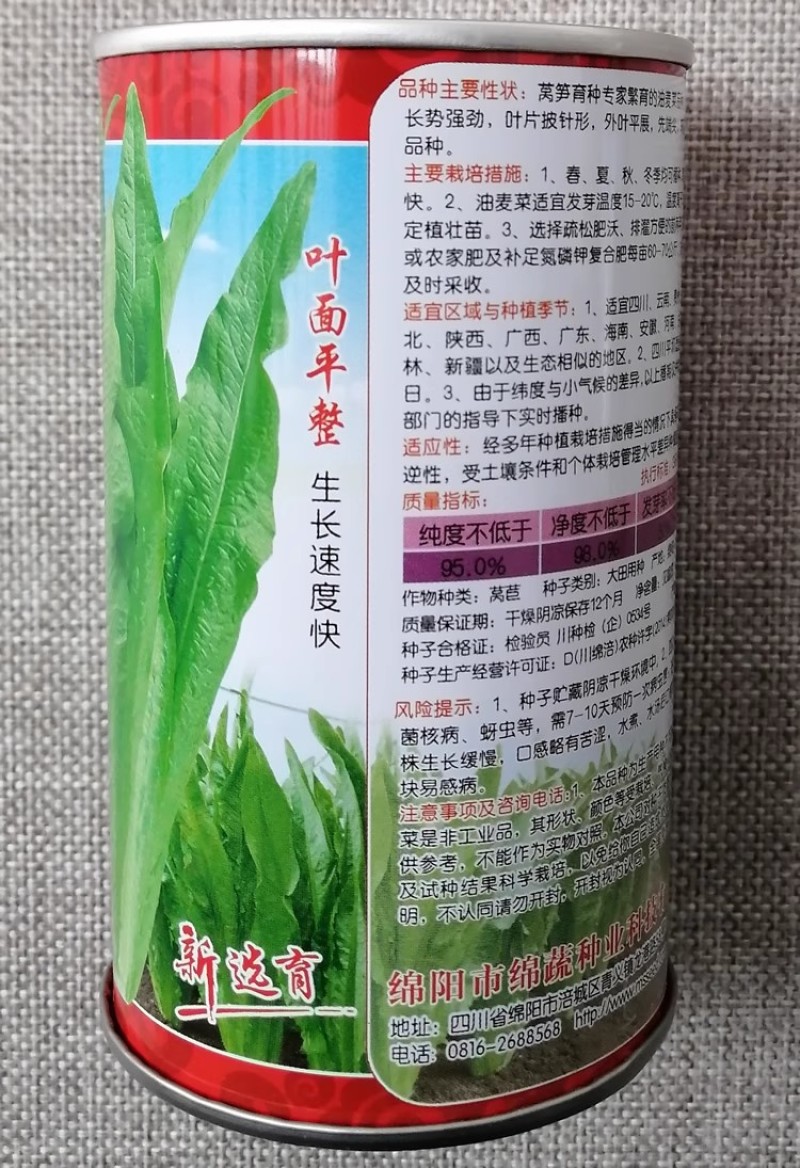 绵蔬醉香油麦菜种子叶片平整长势快早熟耐热香脆嫩四季油麦菜