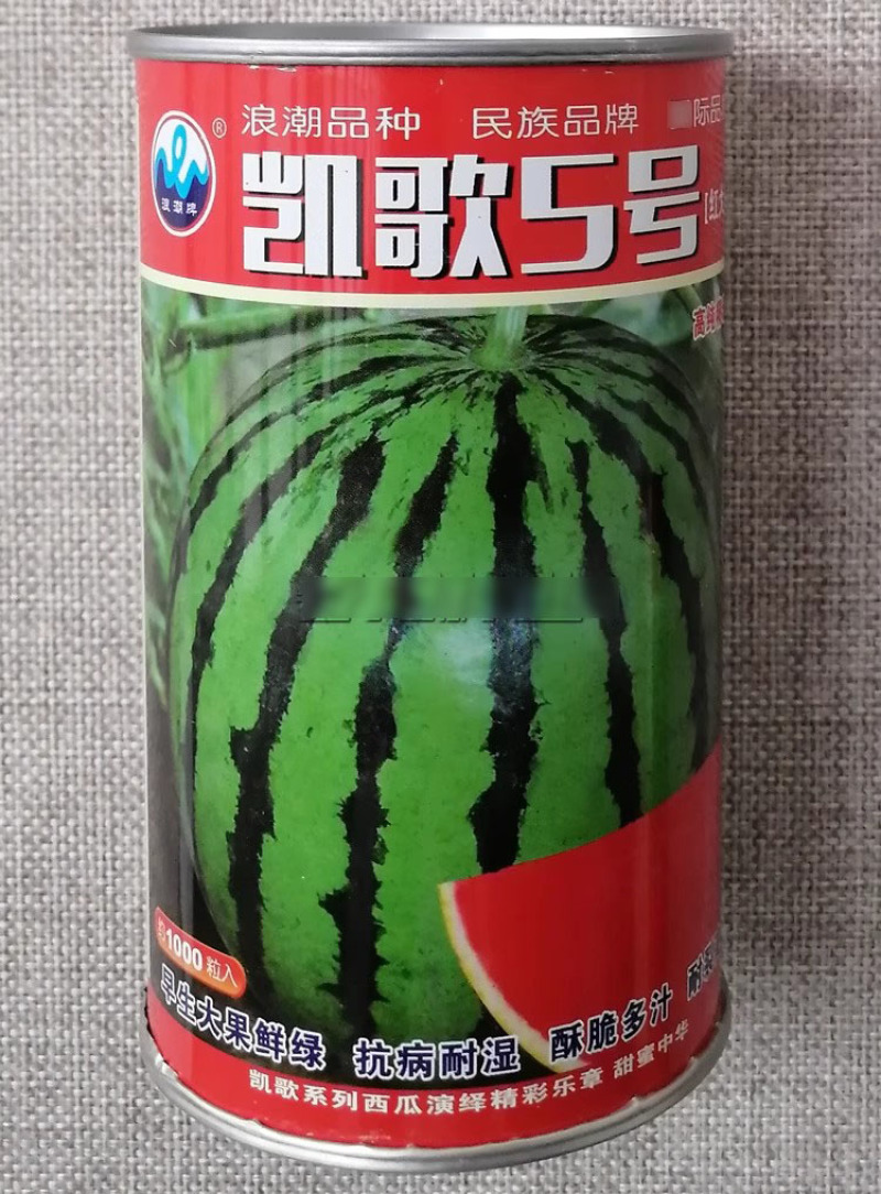 浪潮凯歌5号西瓜种子红大美都西瓜种子酥脆多汁皮薄耐裂抗病