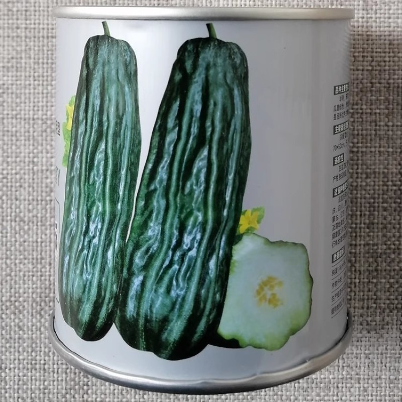 黑皮酥种子薄皮水瓜菜瓜酥脆多汁早熟高产抗病黑皮棱子酥种子
