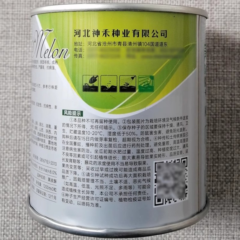 黑皮酥种子薄皮水瓜菜瓜酥脆多汁早熟高产抗病黑皮棱子酥种子