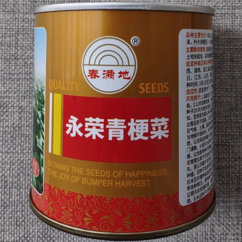 永荣青梗菜种子株型紧凑束腰抗病强耐湿耐热青菜种籽