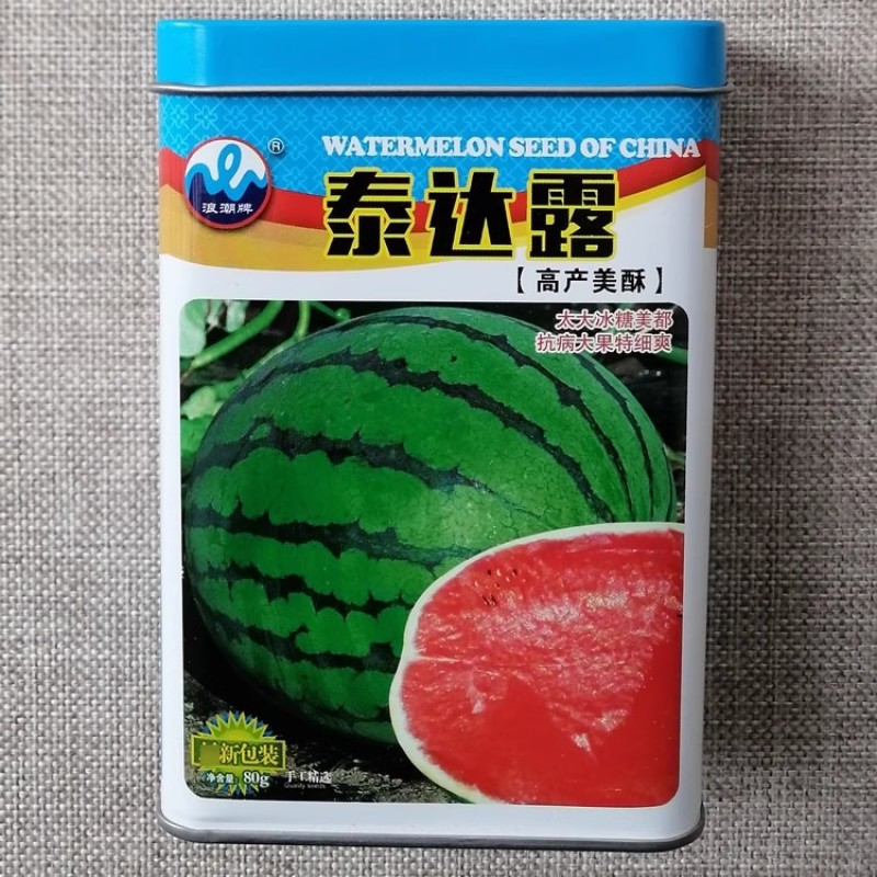 浪潮泰达露高产美酥西瓜种子抗病大果冰糖美都类西瓜种籽香甜