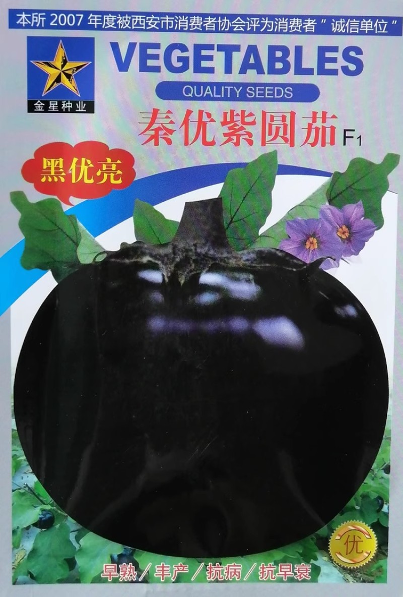秦优紫圆茄种子早熟果大肉多快圆茄黑茄子种籽基地大田高产