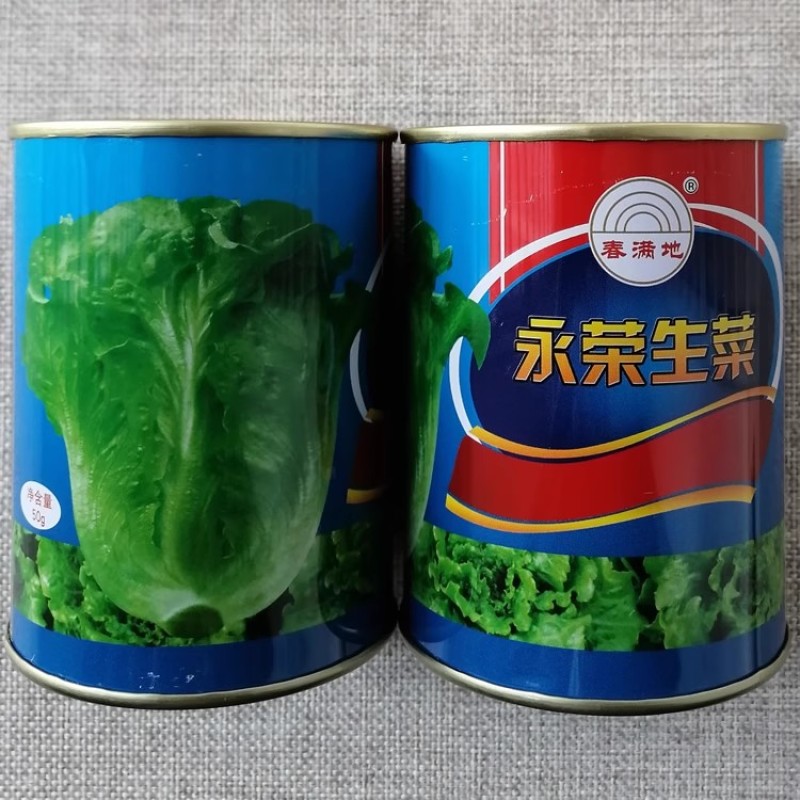 永荣生菜种子四季播耐抽苔意大利生菜种籽耐热耐寒