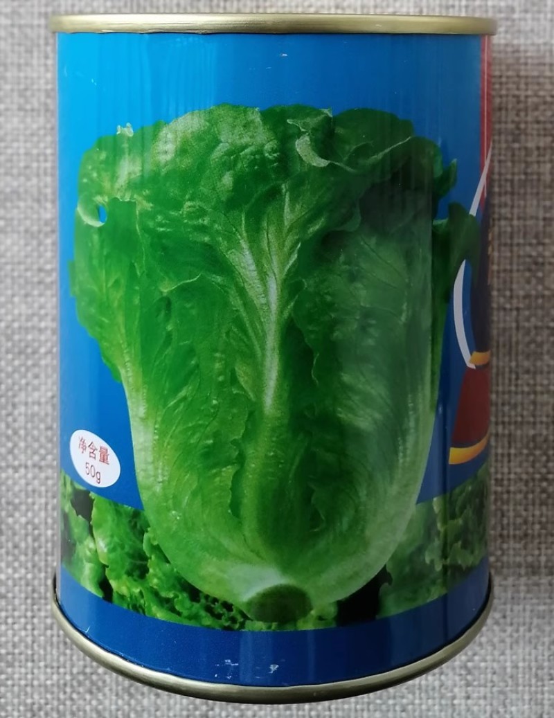 永荣生菜种子四季播耐抽苔意大利生菜种籽耐热耐寒