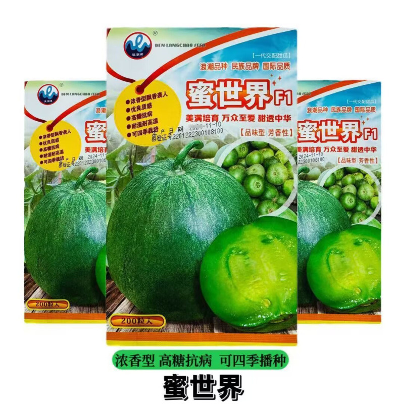 浪潮蜜世界F1甜瓜种子浓香型高糖抗病耐湿耐高温绿皮绿肉
