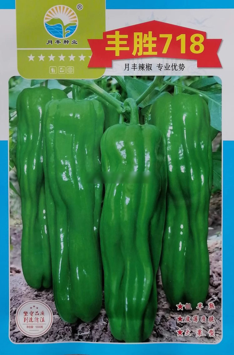 月丰916薄皮皱皮泡椒辣椒种子芜湖椒种籽皮薄肉脆质嫩味辣