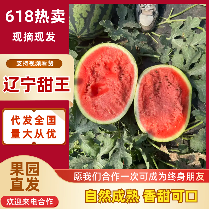 2026年辽宁西瓜代办（新民西瓜代办代收）甜王西瓜代办