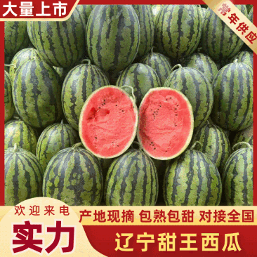 辽宁新民西瓜代办代收/辽宁西瓜产地代办代收/甜王西瓜代办
