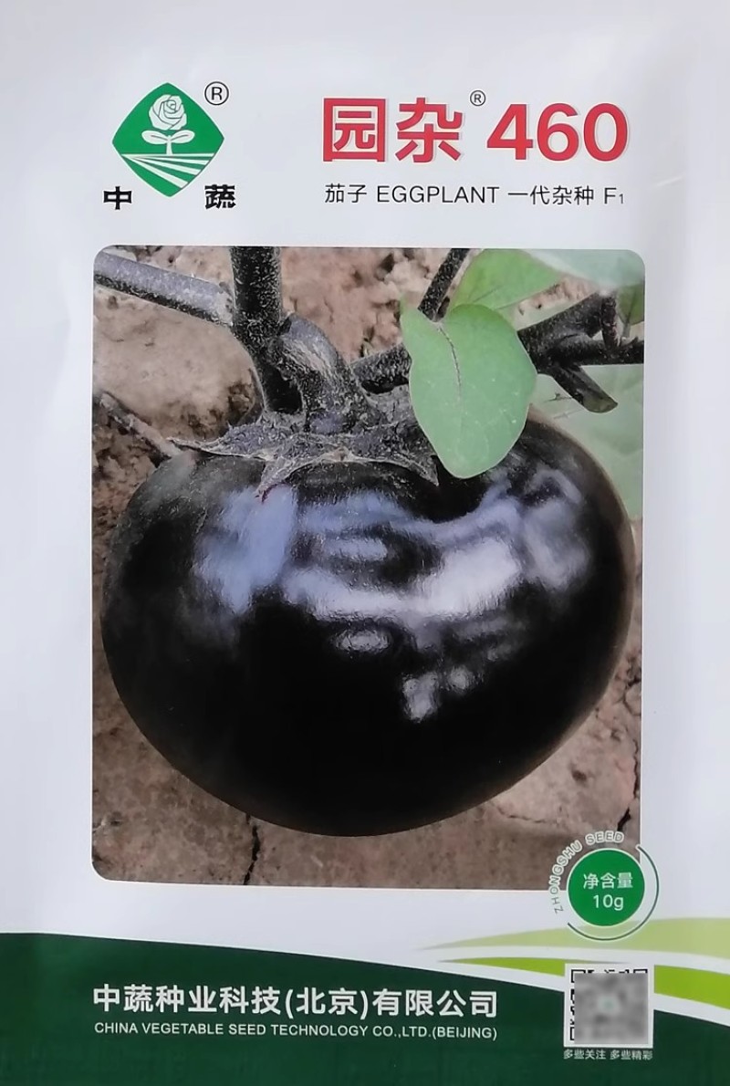 中蔬园杂460茄子种子紫黑色圆茄子种籽杂交黑圆茄种子