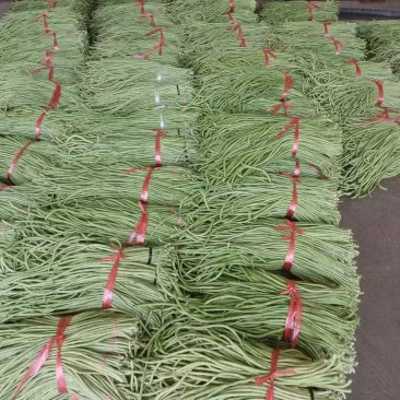 陕西青条豆角青条豇豆对接电商市场商超可视频看货