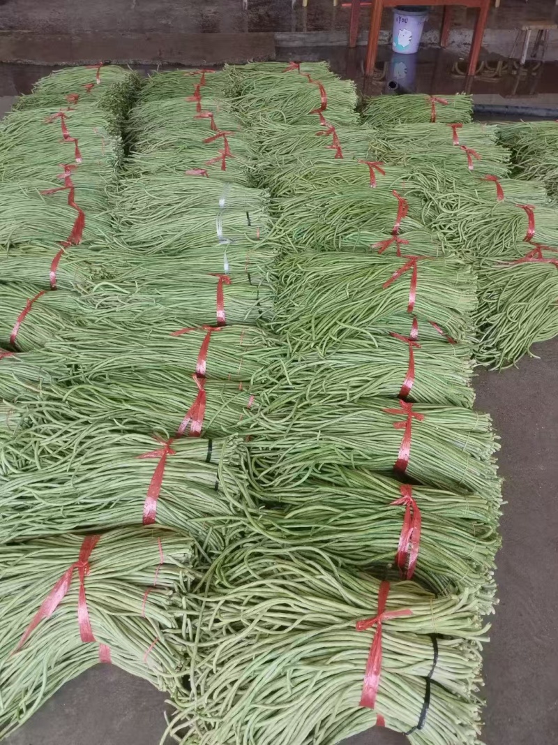 陕西青条豆角青条豇豆对接电商市场商超可视频看货