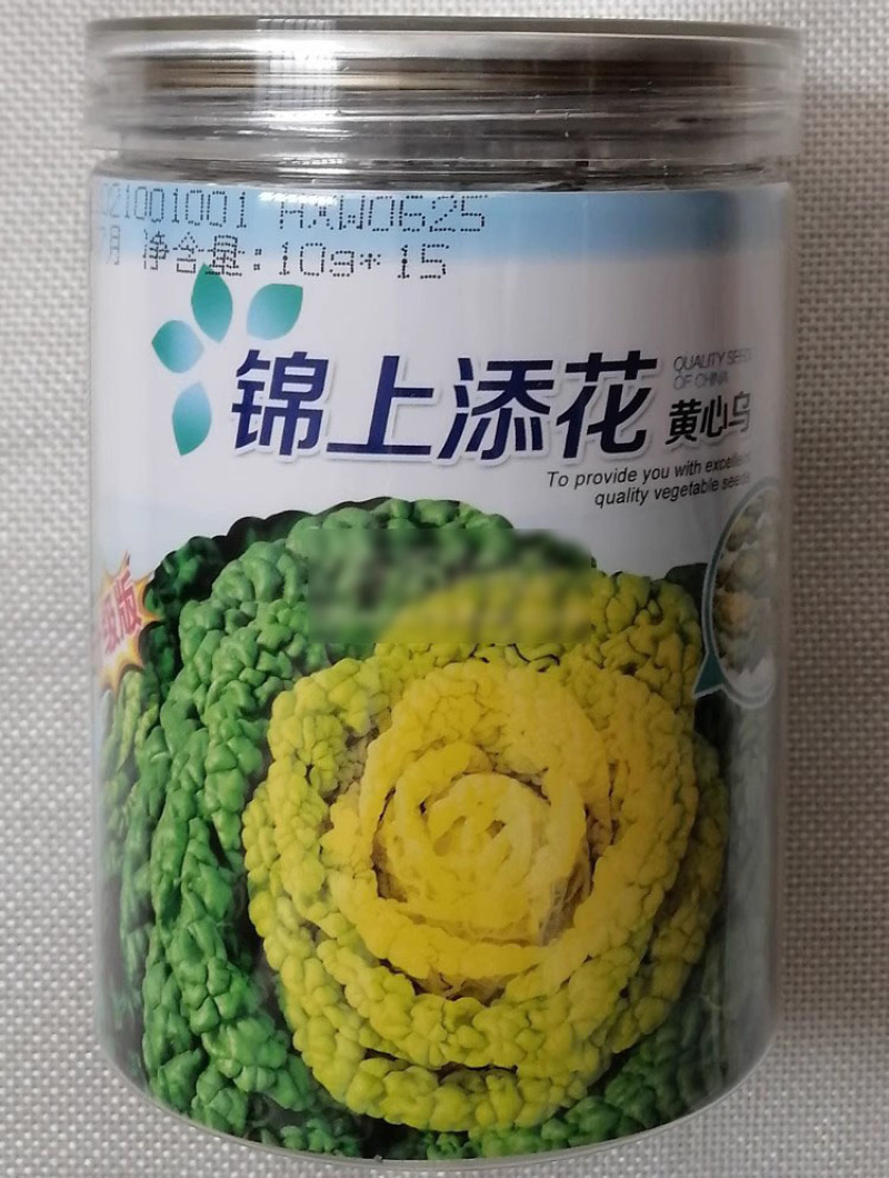锦上添花黄心乌种子耐寒矮株黄心菜种籽心叶金黄乌塌菜叶褶多