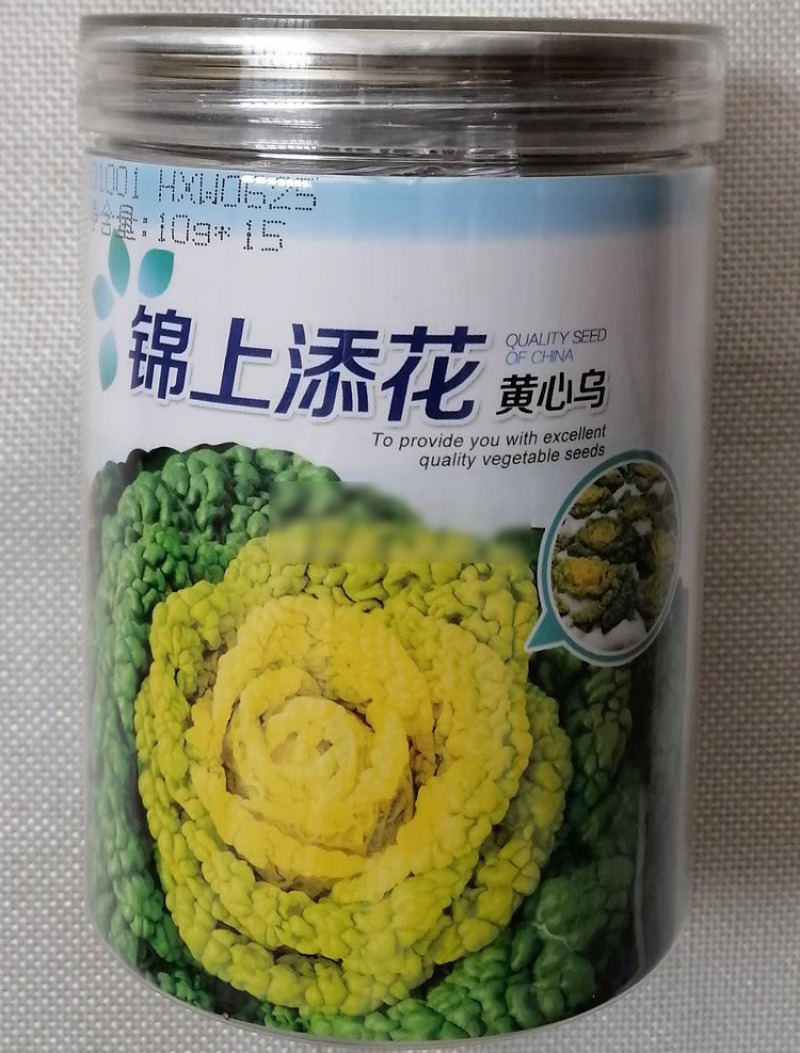 锦上添花黄心乌种子耐寒矮株黄心菜种籽心叶金黄乌塌菜叶褶多